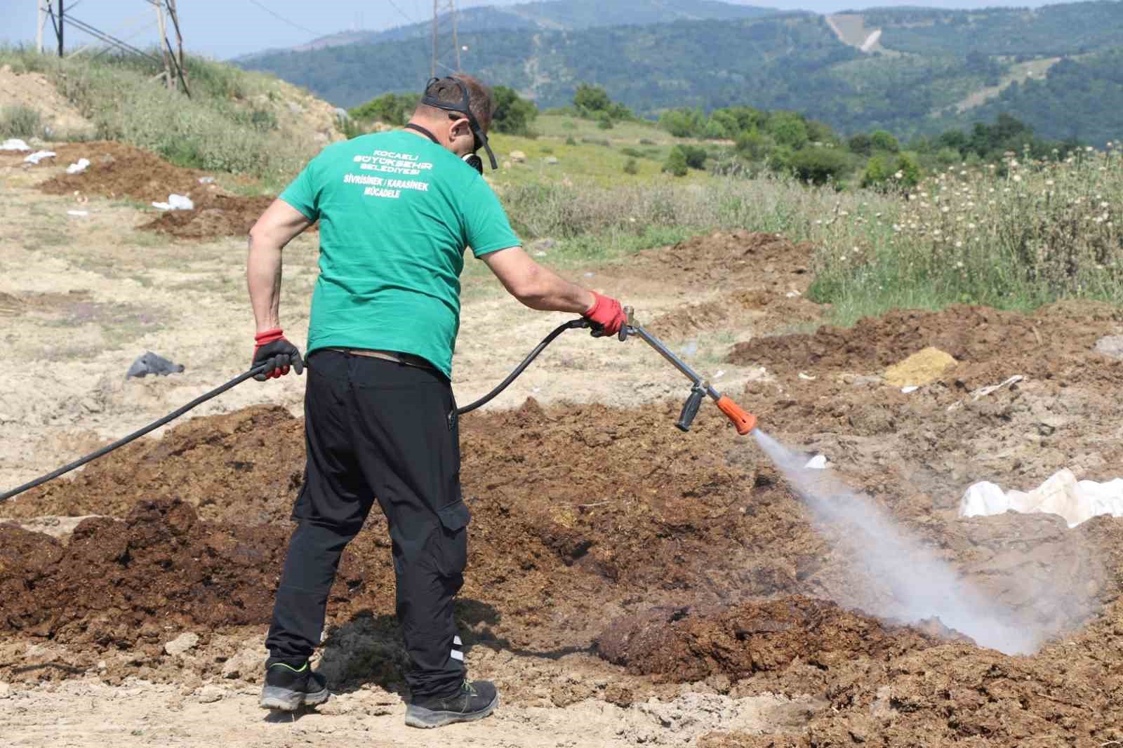 Kurban satış alanları ilaçlanıyor