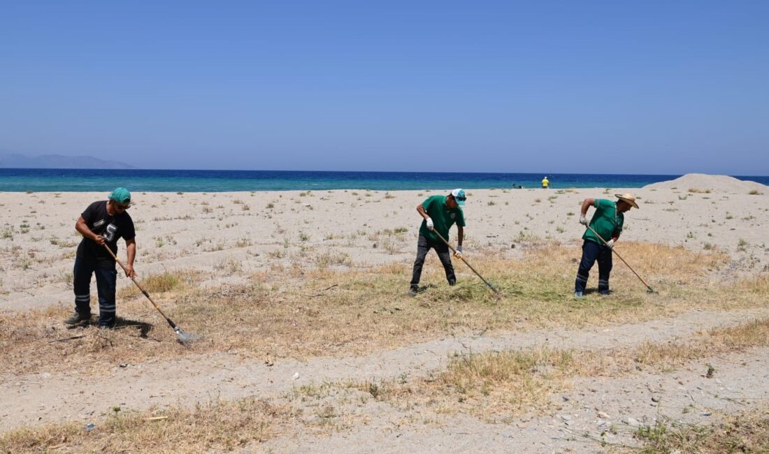 KUŞADASI PLAJLARINDA DETAYLI BAKIM