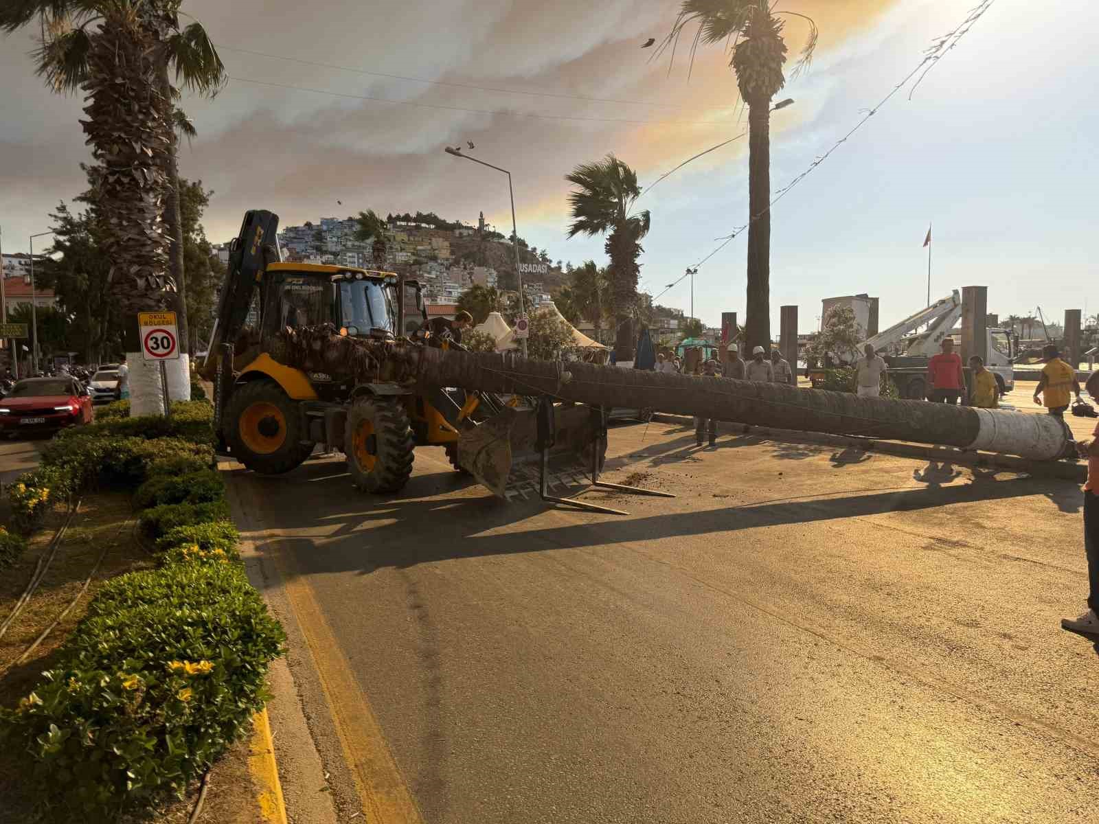 Kuşadası’nda devrilen ağaç ekiplerin müdahalesiyle kaldırıldı