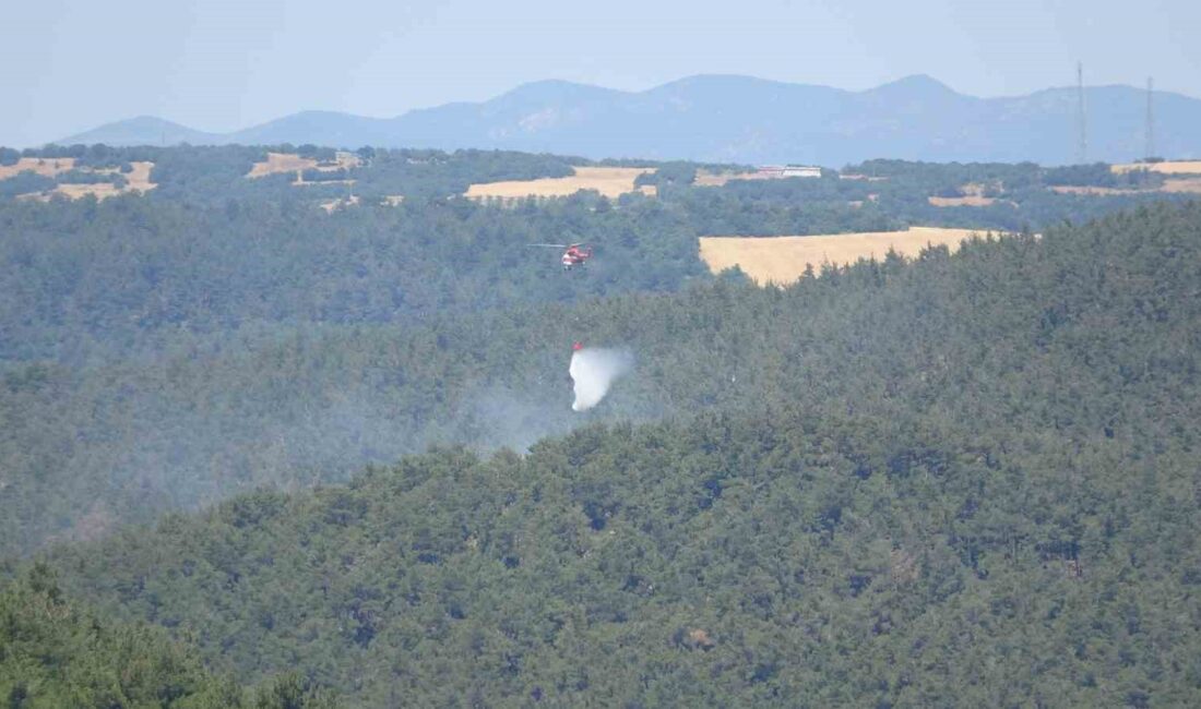 ÇANAKKALE'NİN LAPSEKİ İLÇESİNDE ÇIKAN