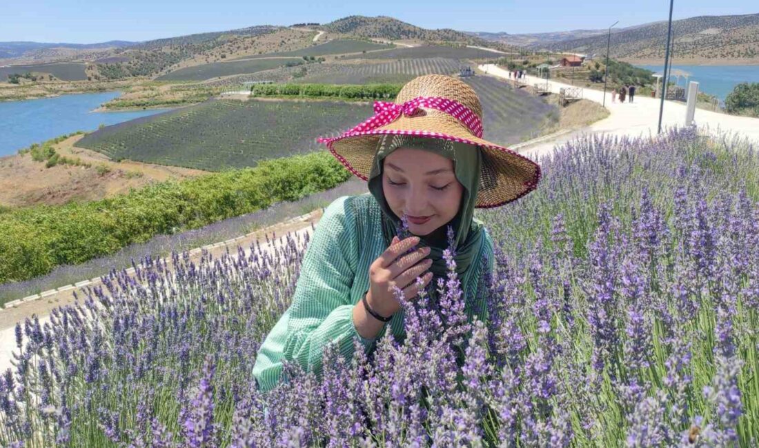 YOZGAT'IN ÇEKEREK İLÇESİNDE YARIMADA