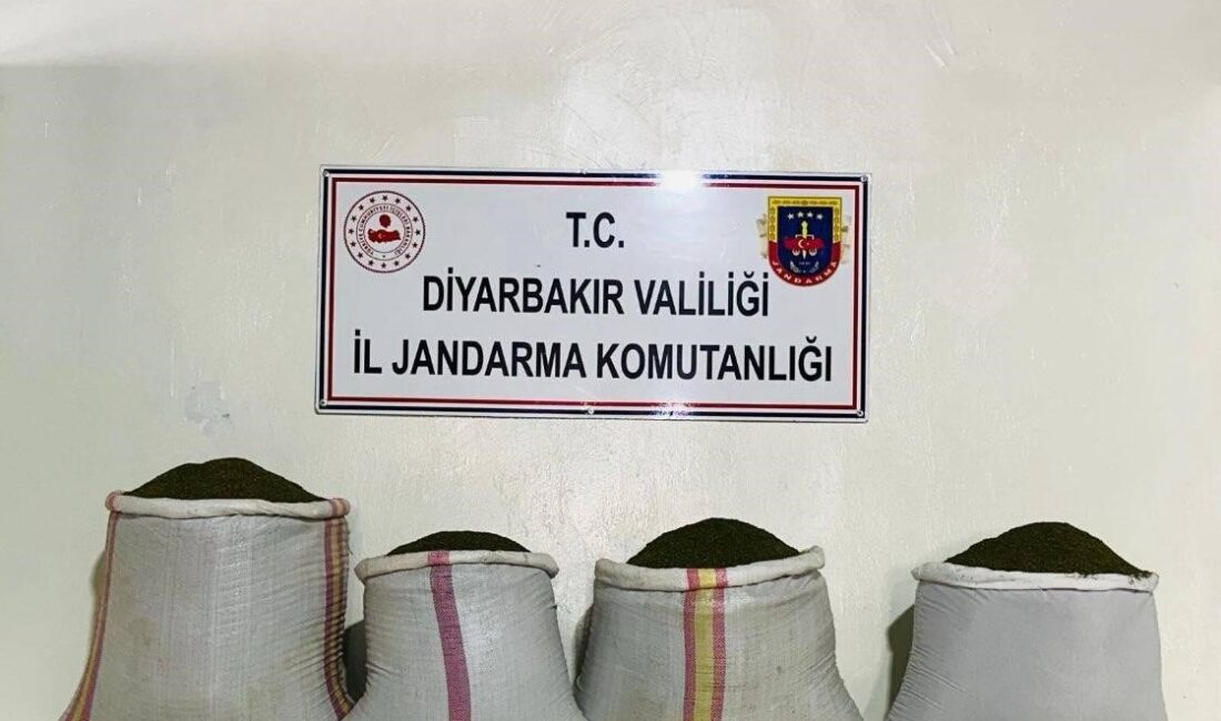 DİYARBAKIR’IN LİCE İLÇESİNDE YAPILAN