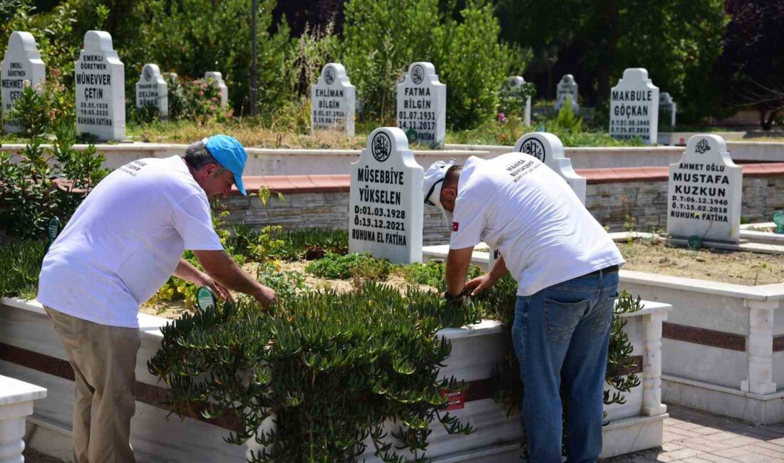 MANİSA BÜYÜKŞEHİR BELEDİYESİ, KURBAN