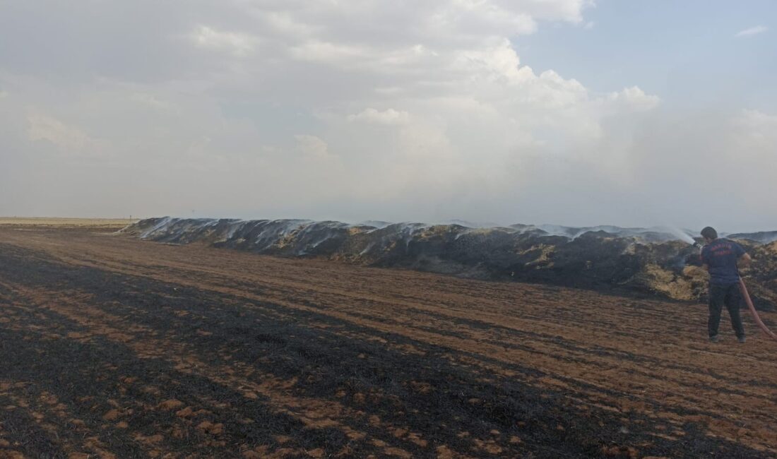 MARDİN’DE ÇIKAN YANGINDA 300