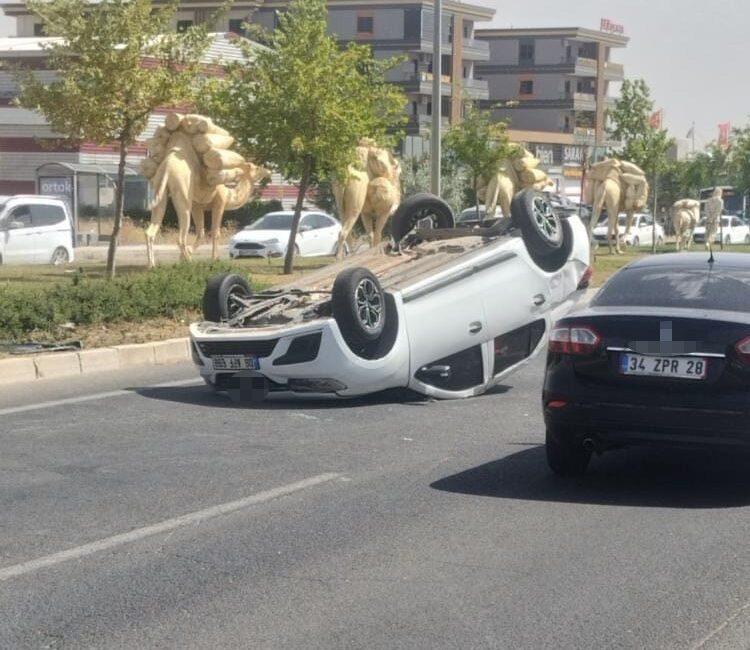 MARDİN’İN KIZILTEPE İLÇESİNDE İKİ