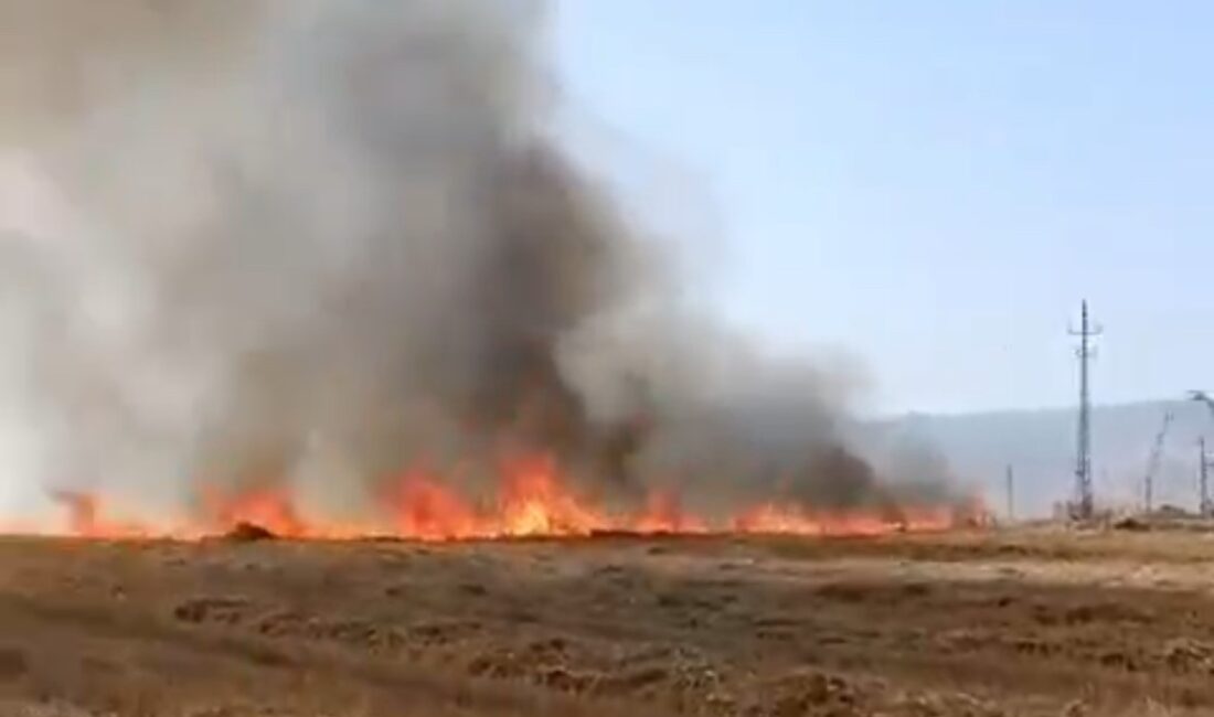 MARDİN’İN KIZILTEPE İLÇESİNDE BOŞ