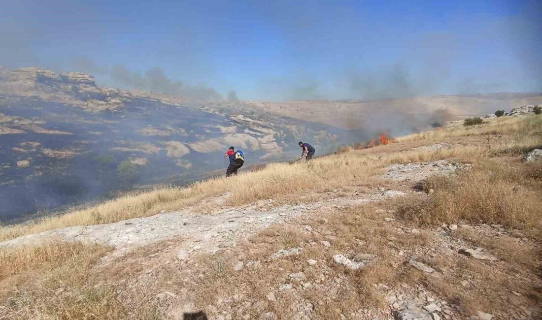 MARDİN’DE SABAH SAATLERİNDE ORMANLIK