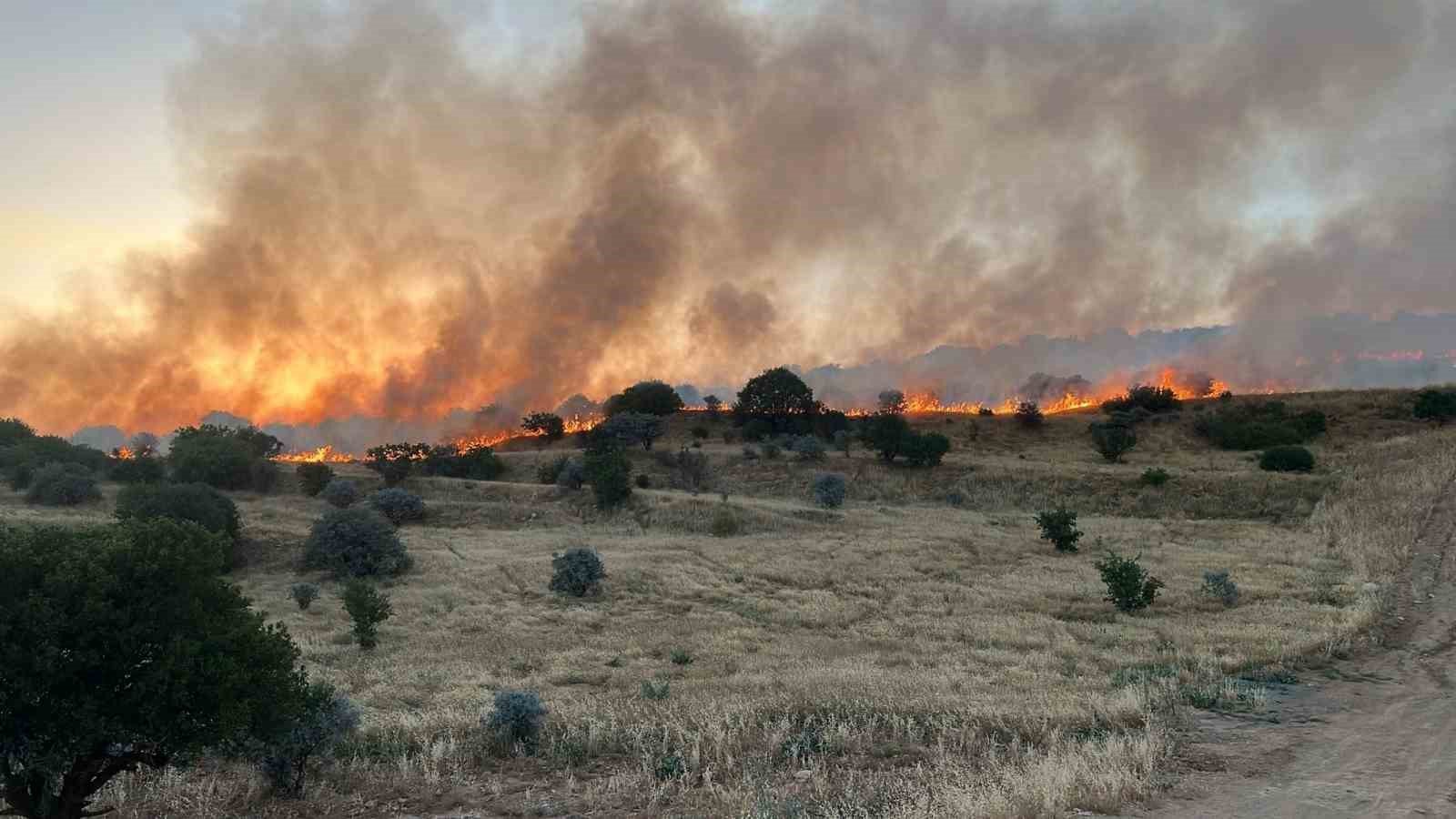 Mardin’de ormanlık alanda çıkan yangın söndürüldü