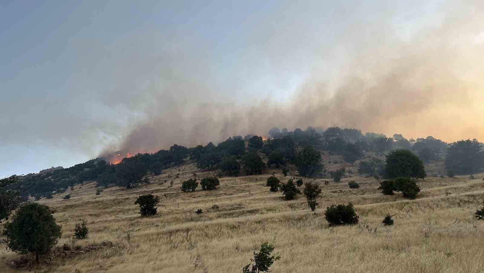 Mardin’de ormanlık alanda çıkan yangın söndürüldü