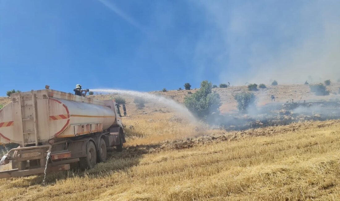 MARDİN’İN 3 İLÇESİNDE ANIZ