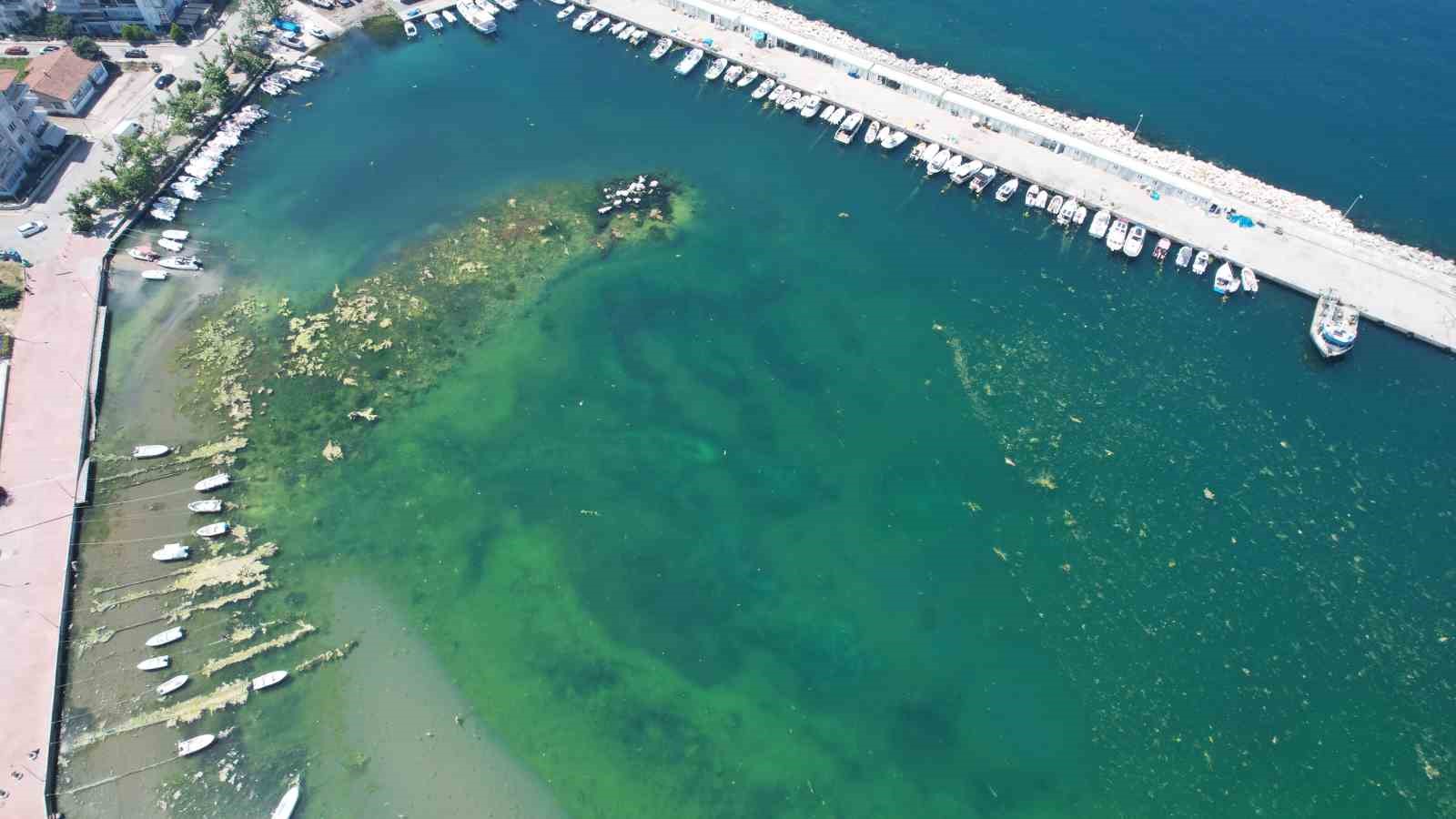 “Marmara’nın İncisi” Çınarcık’ta denizin içler acısı hali