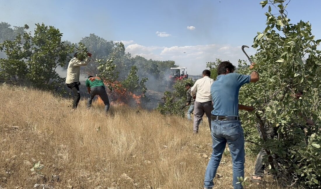 MARDİN'İN MAZIDAĞI İLÇESİNDE 20