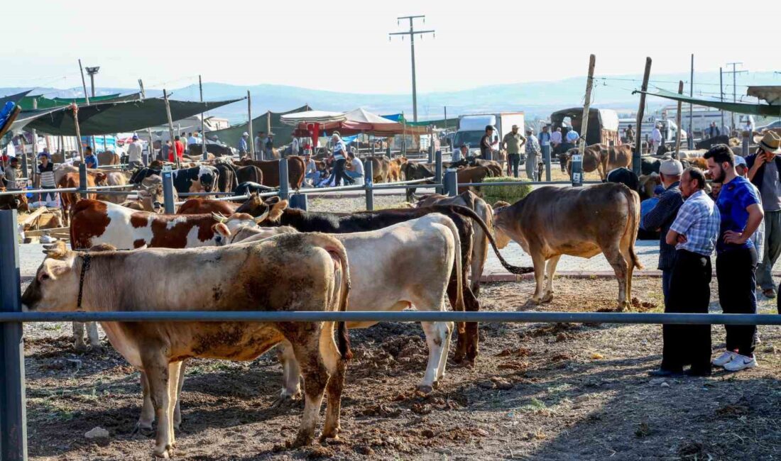 MERAM İLÇE BELEDİYESİ, KURBAN