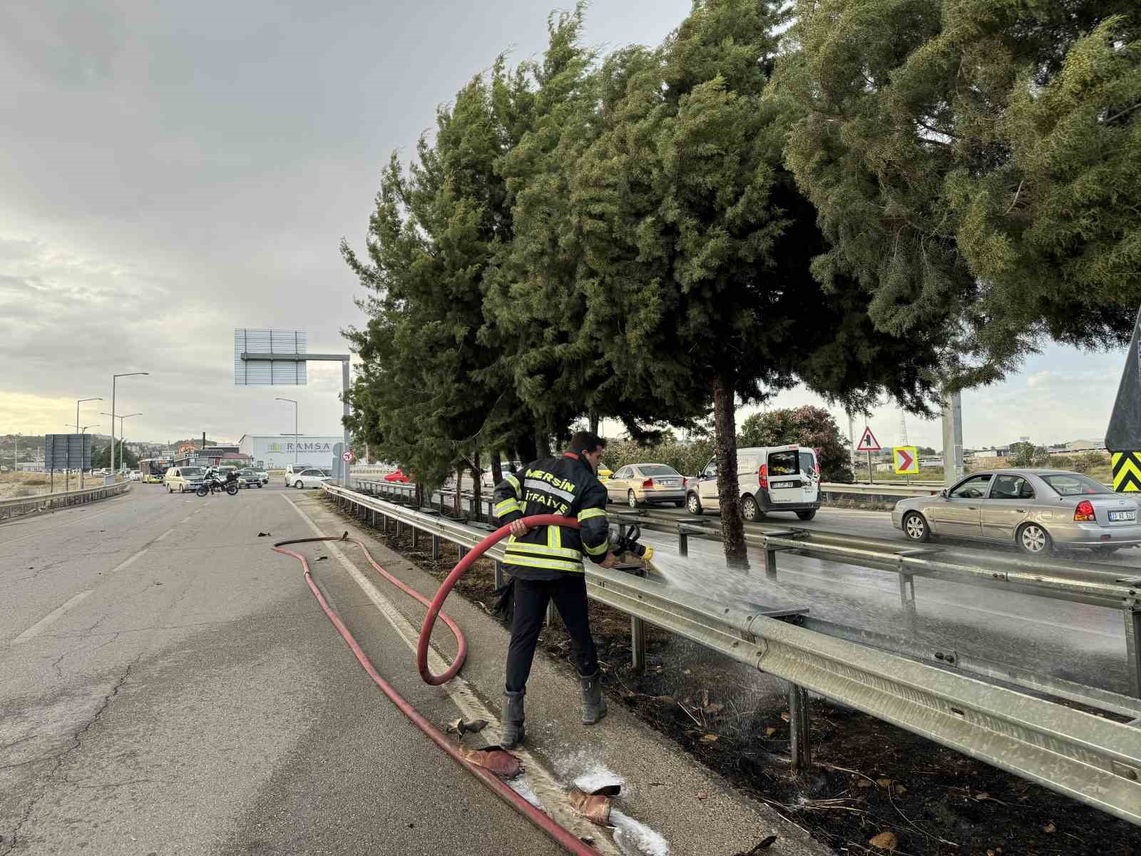 Mersin’de refüjdeki ağaçlar yandı