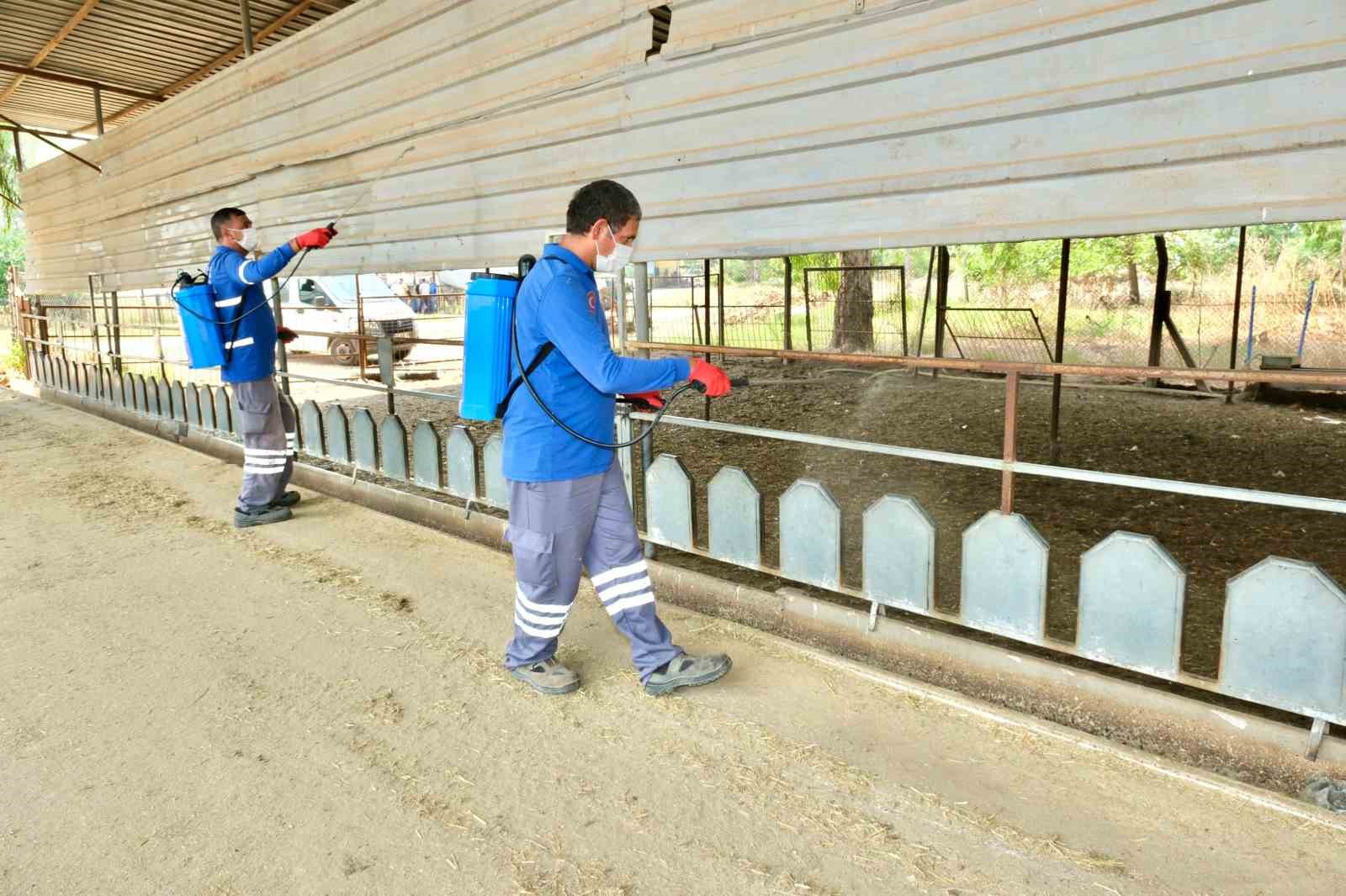 Meyve ihracatının düşmanı Akdeniz Meyve Sineği ile topyekun mücadele