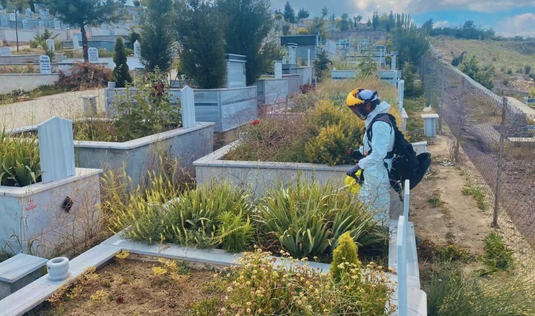 KÖRFEZ BELEDİYESİ, YAKLAŞAN KURBAN