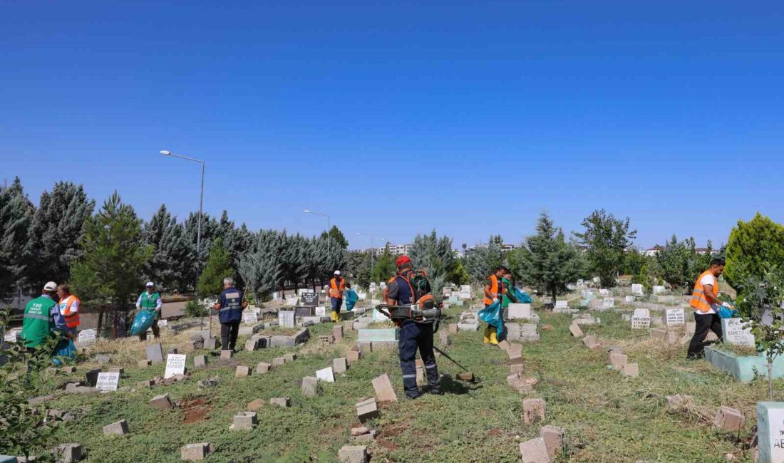 DİYARBAKIR BÜYÜKŞEHİR BELEDİYESİ, KURBAN