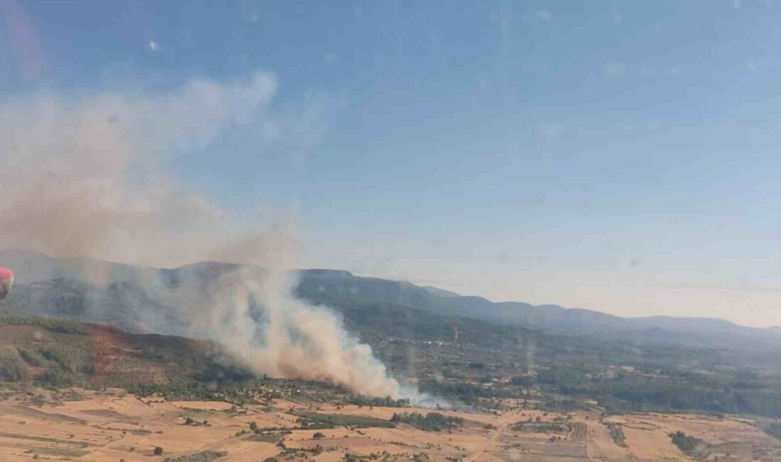 MUĞLA’NIN MİLAS İLÇESİNDE ZİRAAT