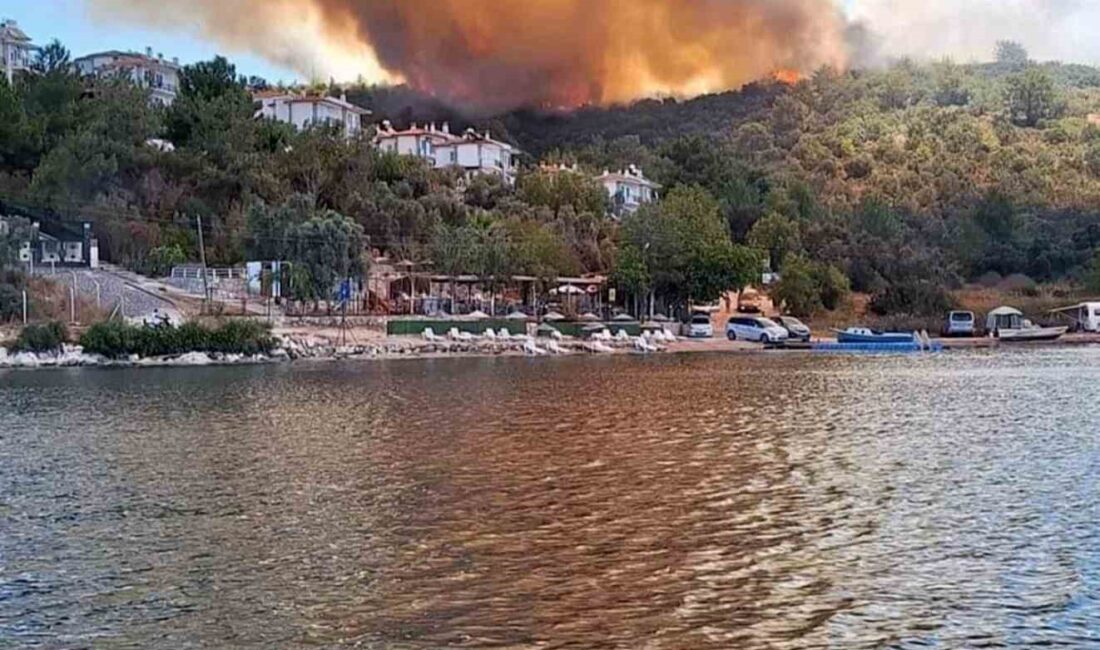 MUĞLA’NIN MİLAS İLÇESİ GÜRÇAMLAR