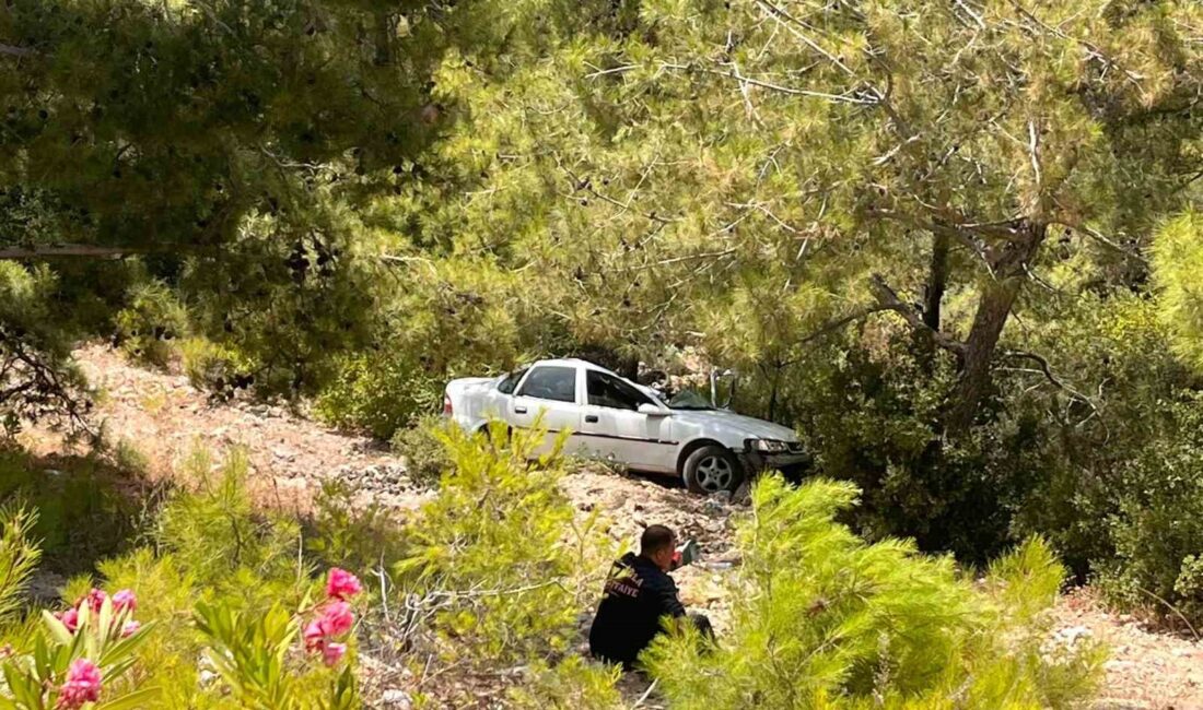 MİLAS’TA KONTROLÜNÜ KAYBEDEN OTOMOBİL