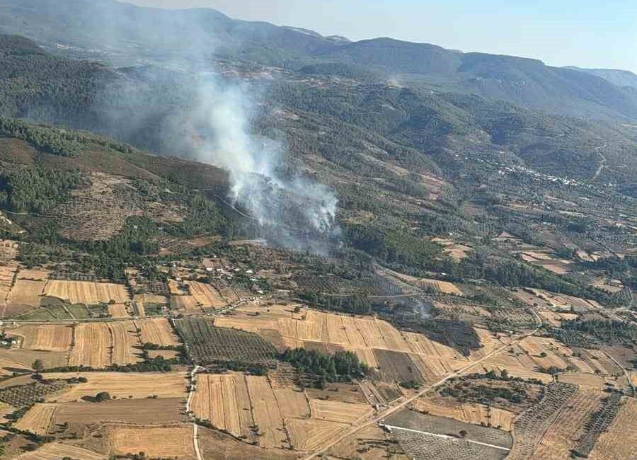 MUĞLA’NIN MİLAS İLÇESİNDE ZİRAAT