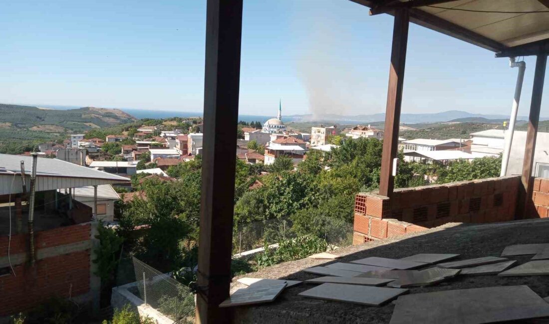 BURSA’NIN MUDANYA İLÇESİNDE ÇIKAN