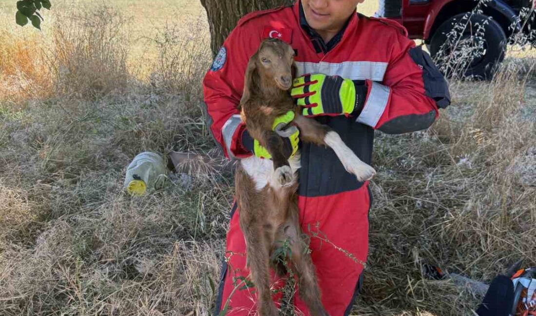 MUĞLA GENELİNDE 41 NOKTADA