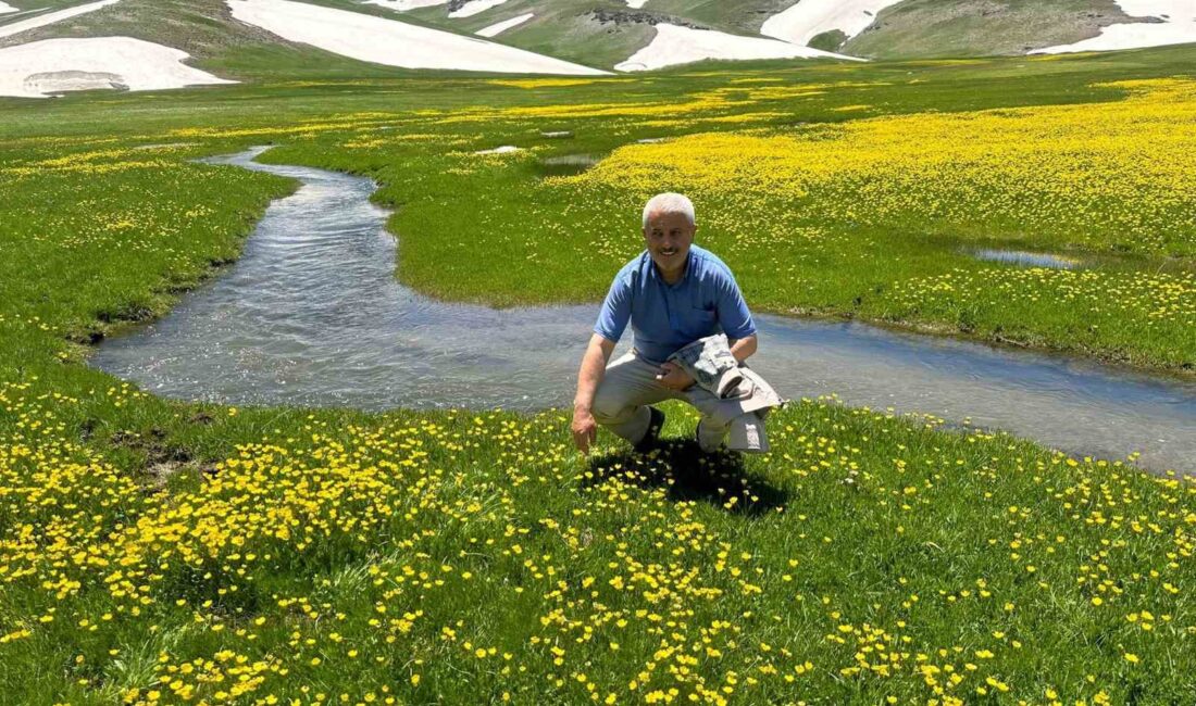 HAKKARİ’NİN ÖRDEKLİ KÖYÜ SINIRLARINDAKİ