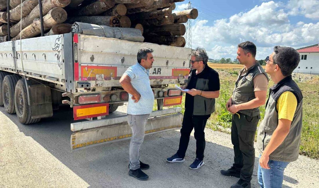 ZONGULDAK ORMAN BÖLGE MÜDÜRLÜĞÜNÜN