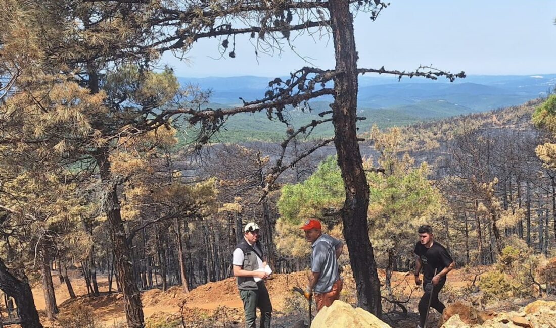 BURSA ORMAN BÖLGE MÜDÜRLÜĞÜMÜZCE,