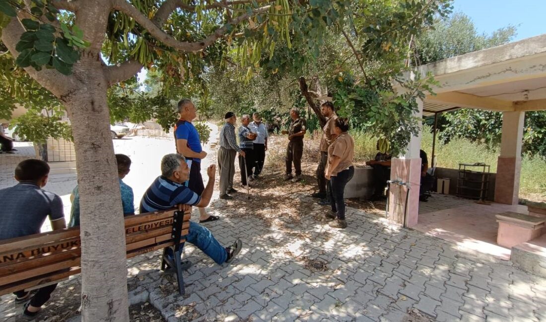 ADANA’NIN KOZAN İLÇESİNDE YAYLALARDA