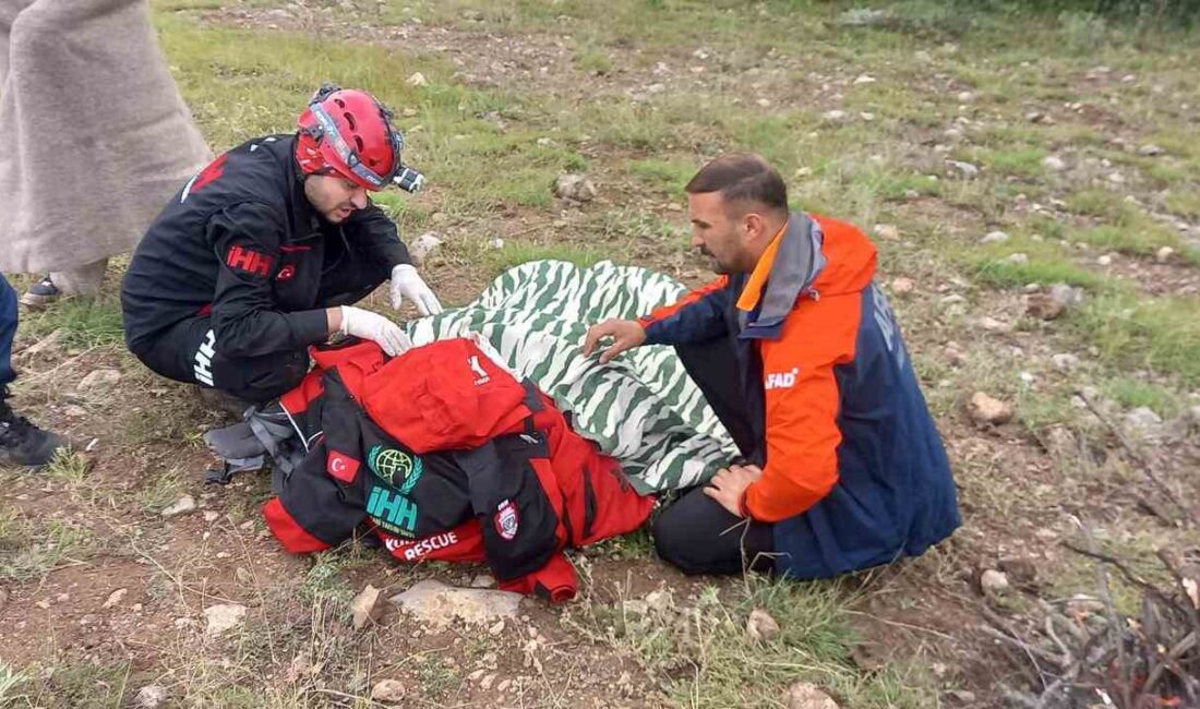 ÇORUM'UN ALACA İLÇESİNDE MANTAR