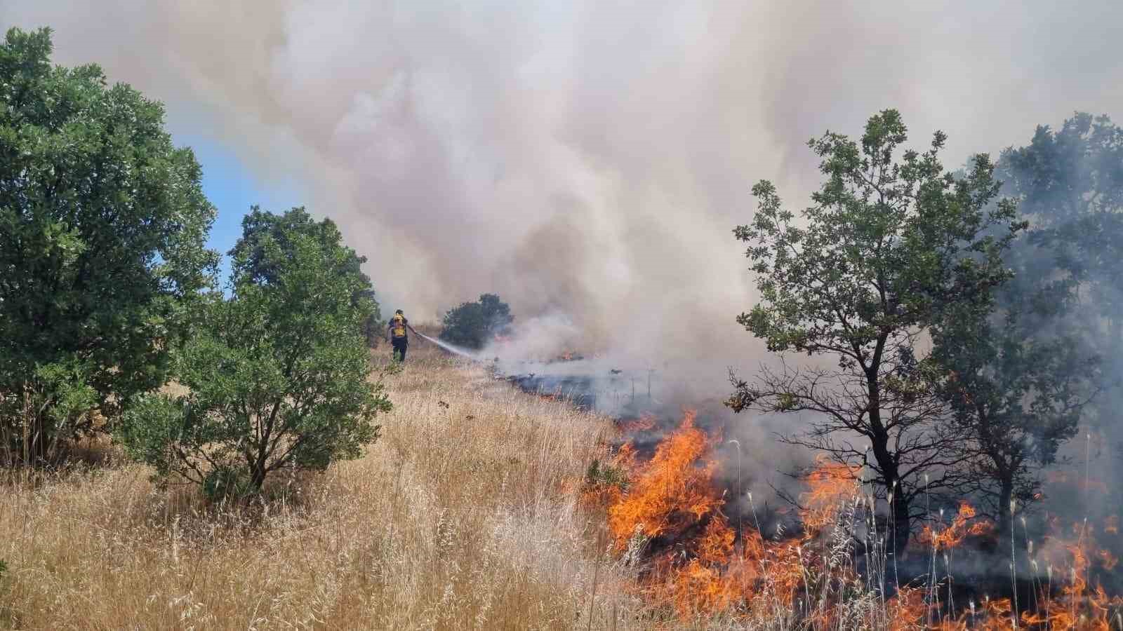 Ormanlık alanı tehdit eden yangına anında müdahale