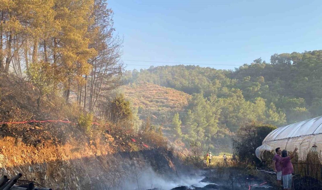 MUĞLA'NIN ORTACA İLÇESİNE BAĞLI