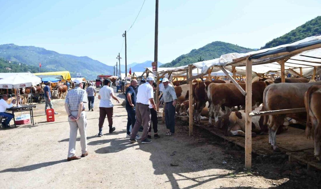 TRABZON'UN ORTAHİSAR BELEDİYESİ, YAKLAŞAN