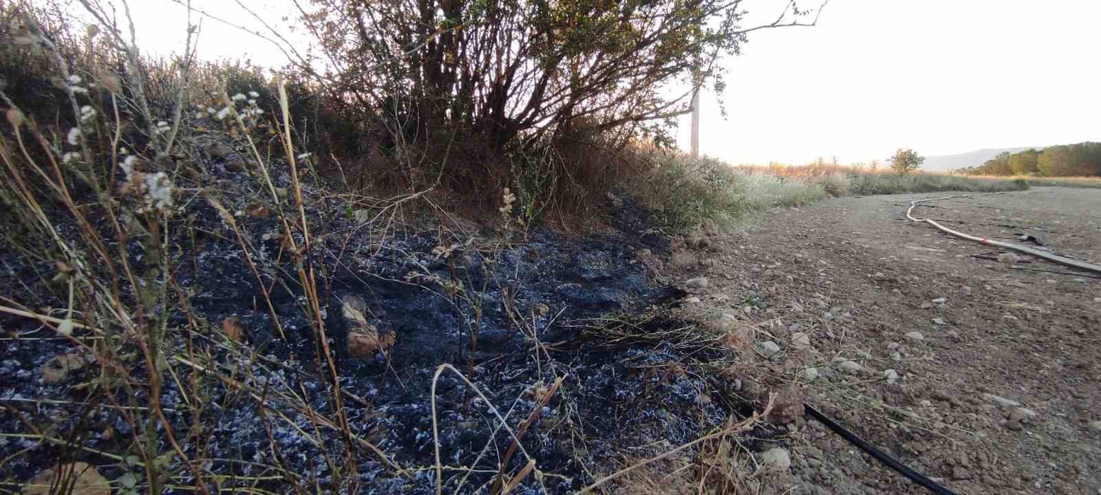 Osmaneli’de elektrik tellerine çarpan kuş yangına neden oldu