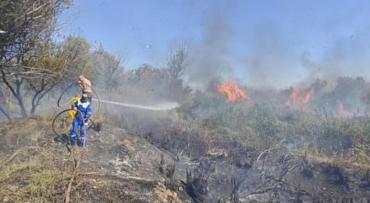 Osmaniye’de Kastabala Kuş Cenneti’nde çıkan yangın söndürüldü