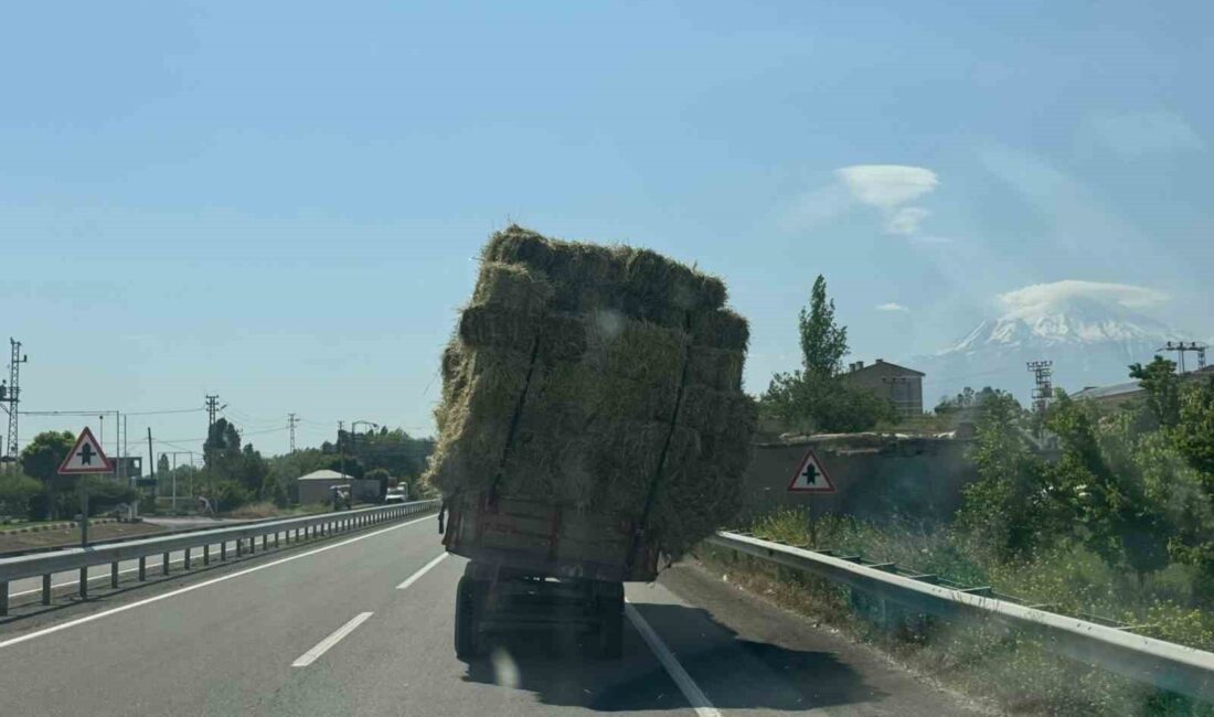 IĞDIR'DA OT YÜKLÜ TRAKTÖRÜN,