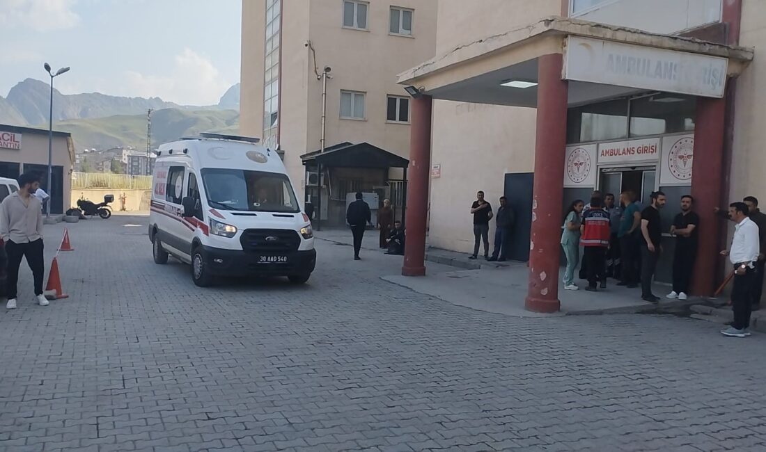 HAKKARİ’DE KONTROLDEN ÇIKARAK ZAP