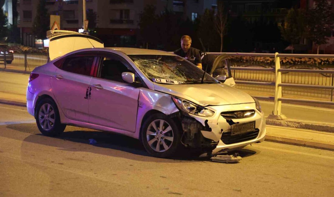 KONYA'DA YOLUN KARŞISINA GEÇMEYE