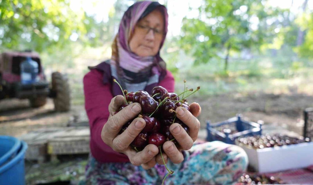 BURSA'NIN COĞRAFİ İŞARETLİ KELES