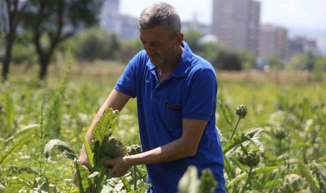 BURSA’NIN NİLÜFER İLÇESİNE BAĞLI