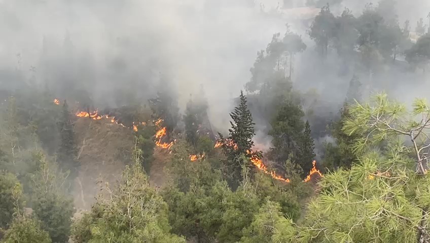 Pamukkale’deki orman yangınında 35 hektar alan zarar gördü