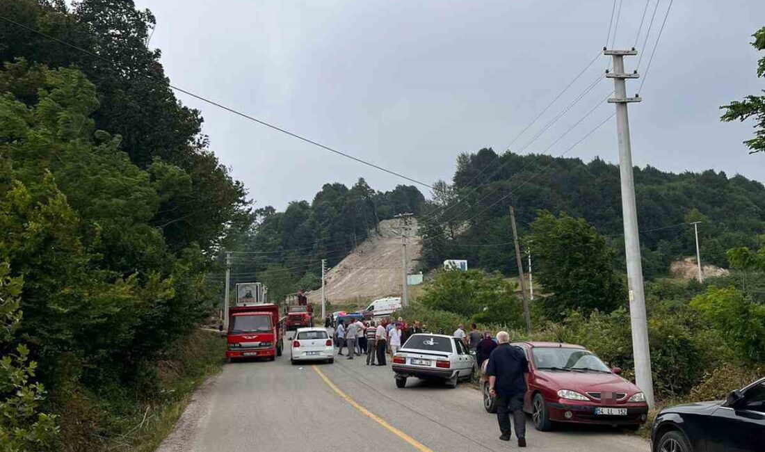 DÜZCE'DE TARIM ARACI OLARAK