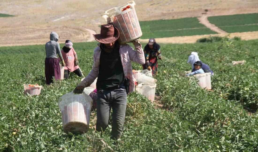 ADANA'DA TÜM ZAMANLARIN HAZİRAN