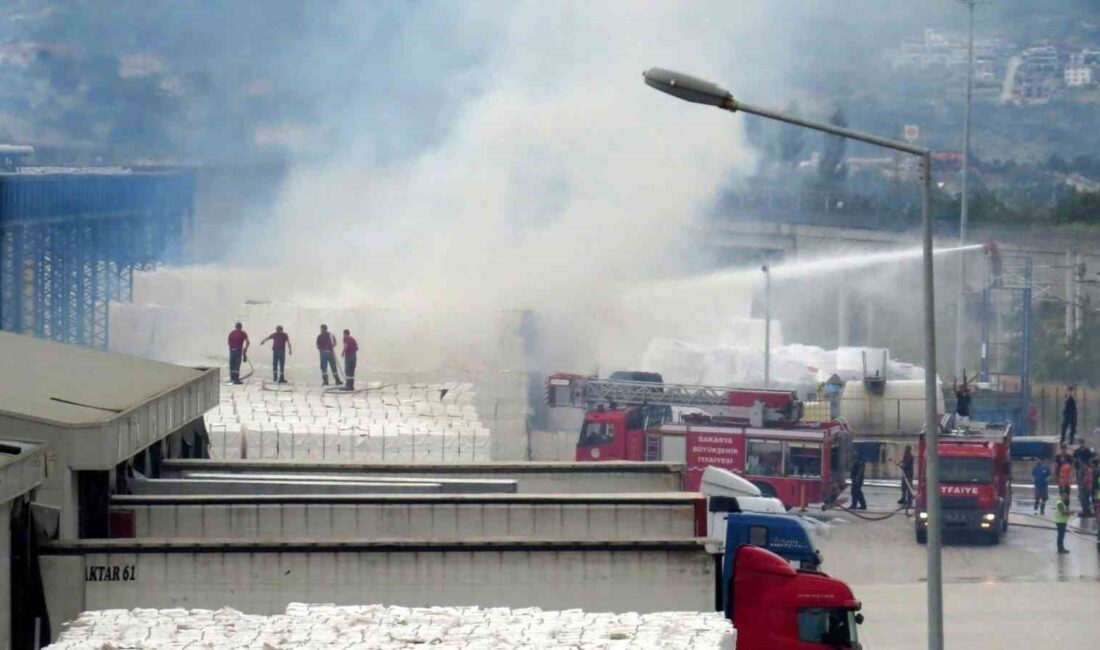 SAKARYA’NIN PAMUKOVA İLÇESİNDE BULUNAN