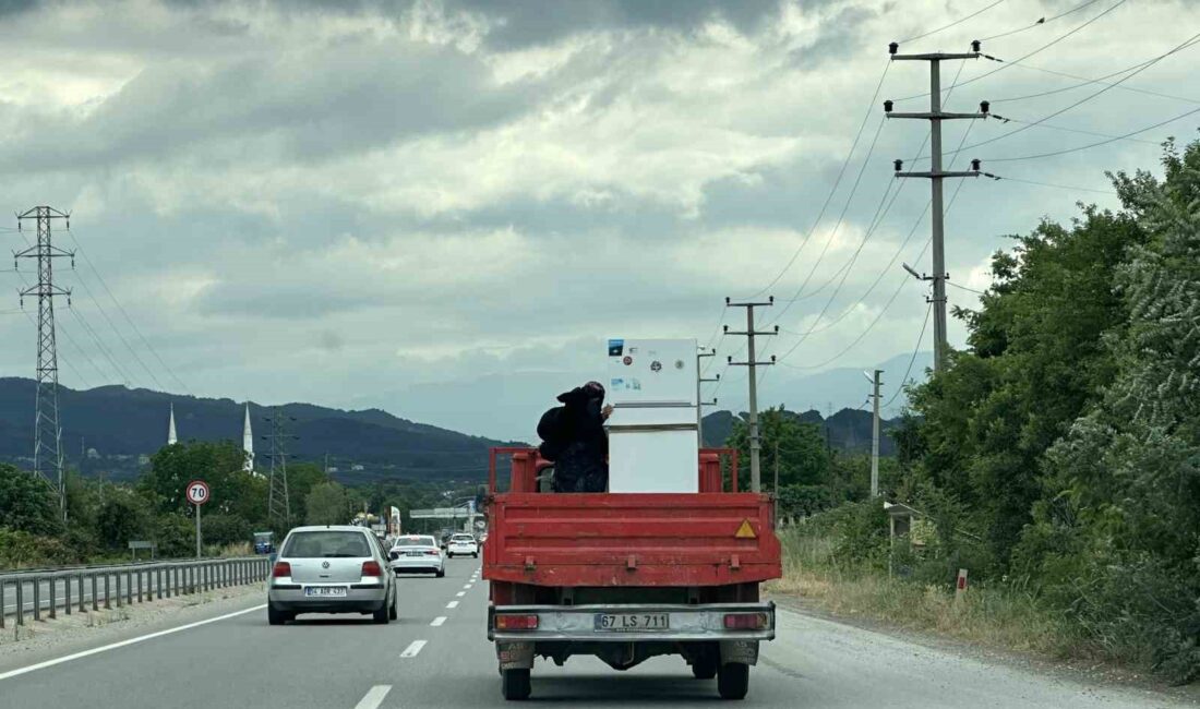 SAKARYA'DA KAMYONET KASASINDA TAŞINAN