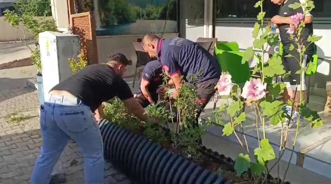 Saksının altına sıkışan ’Boncuk’ için seferber oldular