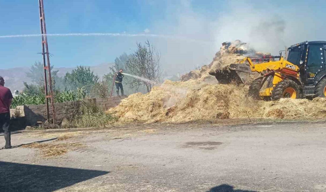 SAMAN BALYALARININ BULUNDUĞU ALANDA