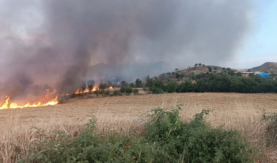 ADIYAMAN’DA MEYDANA GELEN ANIZ